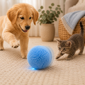 Interactive Rolling Pet Ball Toy